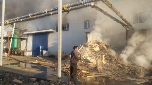 ПОЖАР НА ДЕРЕВООБРАБАТЫВАЮЩЕМ ПРЕДПРИЯТИИ ПОТУШЕН