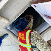 НАРЫН: ЭРЕЖЕЛЕРДИ САКТАП, ӨРТ КЫРСЫГЫНАН АЛЫС БОЛУҢУЗ!