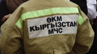 АЖАТКАНАГА ТҮШҮП КЕТКЕН НАРИСТЕ КУТКАРЫЛГАН