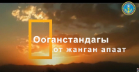 ООГАНСТАНДАГЫ ОТ ЖАНГАН АПААТ
