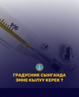 ГРАДУСНИК СЫНГАНДА ЭМНЕ КЫЛУУ КЕРЕК?!